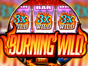 Burning Wild